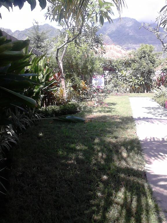 Pande Guest House Pemuteran Esterno foto